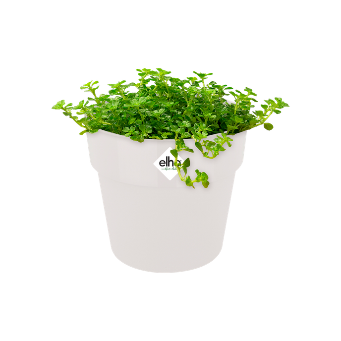 b.for original round mini 11cm white